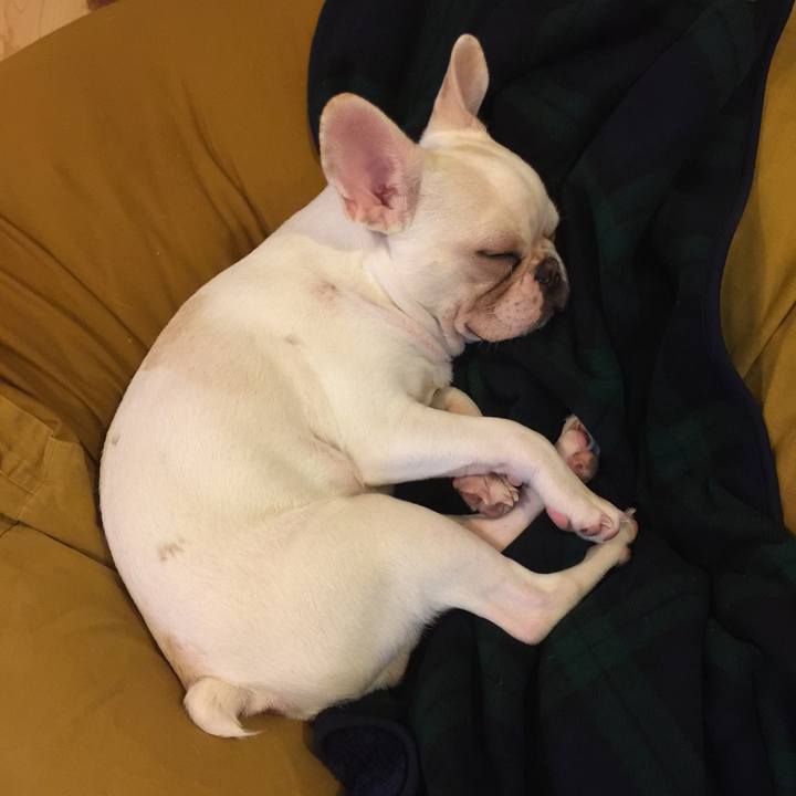 02bf25da 1a5c 42ca 8411 6dd480ad08b7