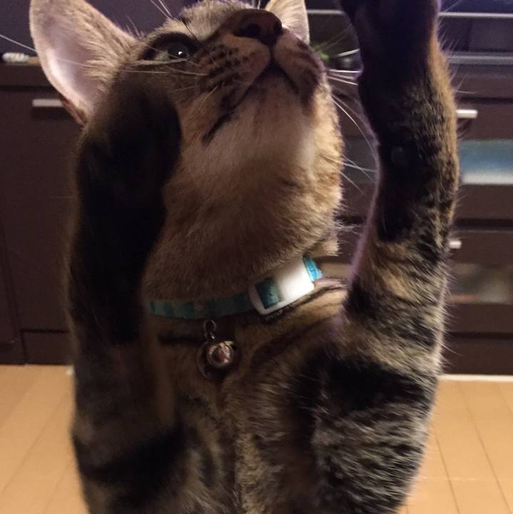 02c069cd 21a0 499d 8f5c 739d81b44439