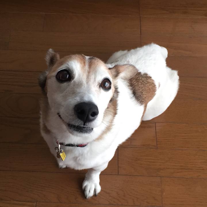 02c09bf3 4f16 4047 a86f 4476cb50897c