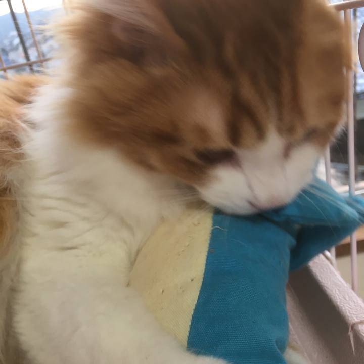 02c12cb5 6ff3 436f 90db e480044ba0d2