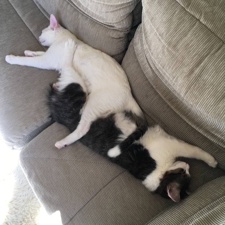 02c1807c db6e 415c baf1 0910f0a34f54