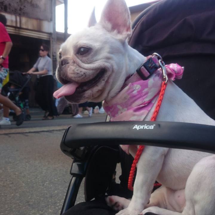 02c184c6 799e 47c7 850a e68ebefd8810