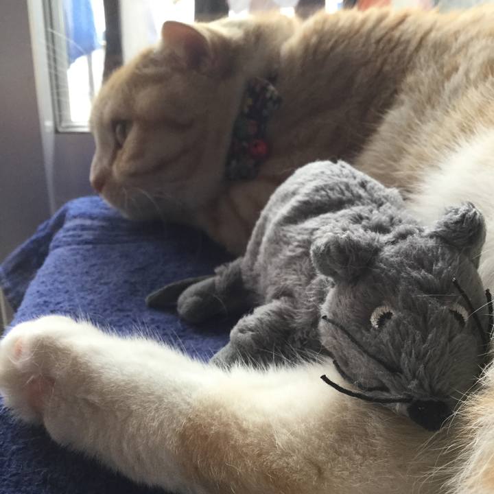 02c1a313 7cd8 46b0 9025 87ae4ab55aca