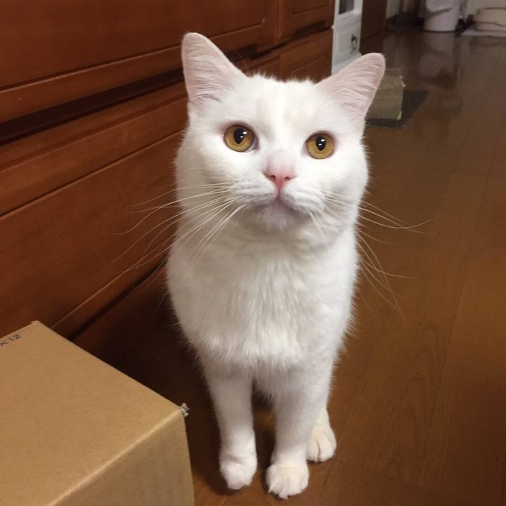 02c1d8e3 e5d7 4093 842a 6669dc823ced