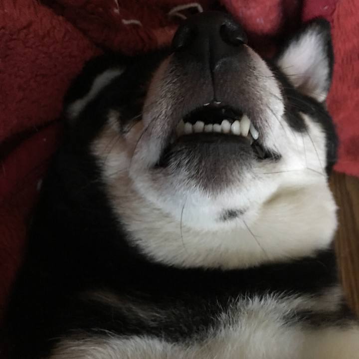 02c1e3df 6d34 4c91 8d13 8df554dfbb6e