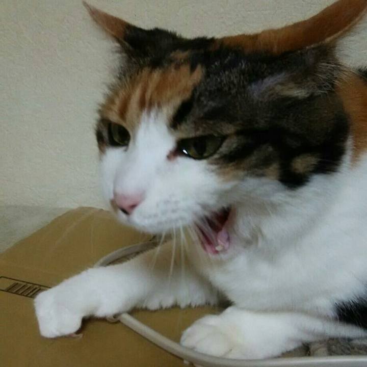 02c225f6 0177 4595 b0a5 bc305f65dc56