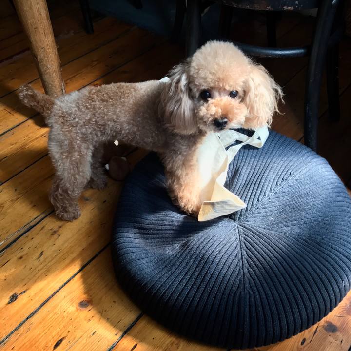 02c27696 ffb8 4624 9c33 4bed64e3ce4b