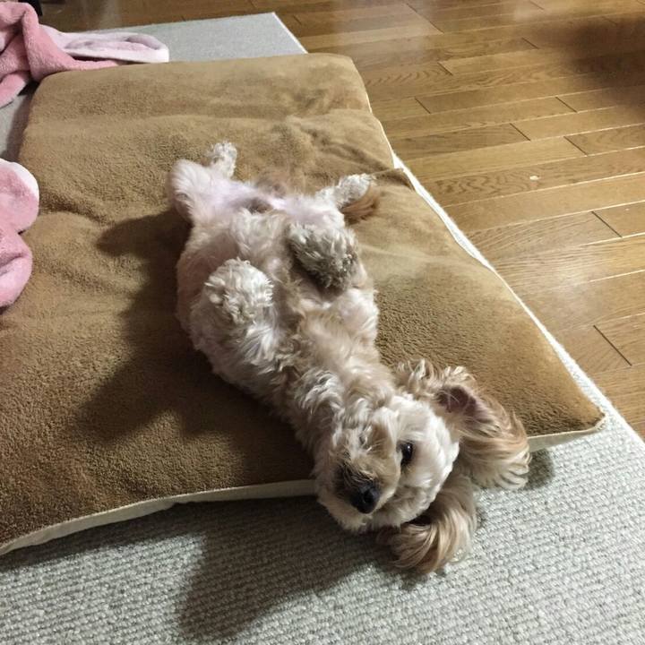 02c3b65d 0750 472e add5 cb70757bc321