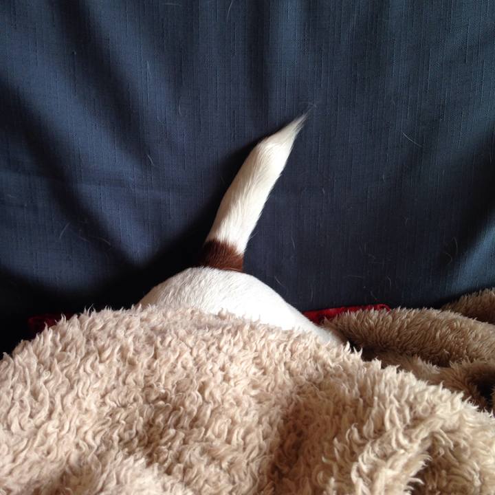 02c408ab 8314 4041 92fa fbbfb3ff62ad