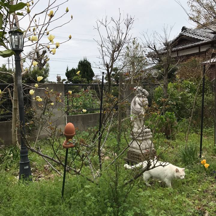 02c57acb ad6f 46a3 b671 ac1a04aa32d4