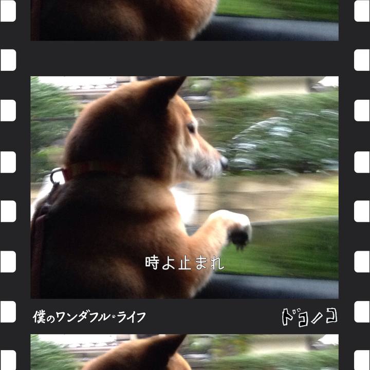 02c5afd8 aa90 4626 8e2e 9668ddec6bb2