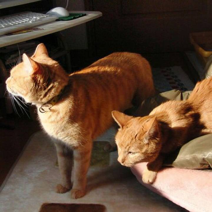 02c653ac b1d7 4d9f ace1 9a86752dc524