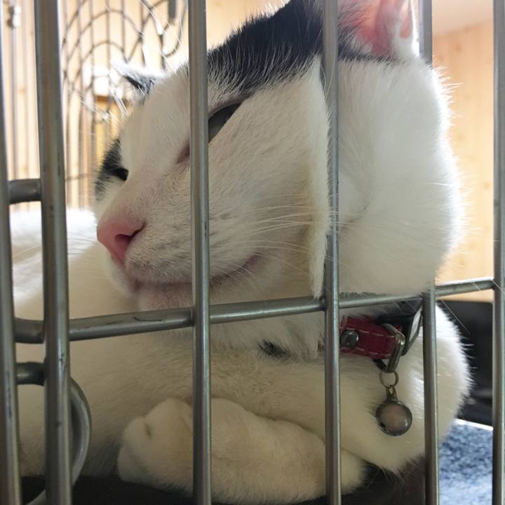 02c6595c 865c 4f4f 9e31 0b3940841967