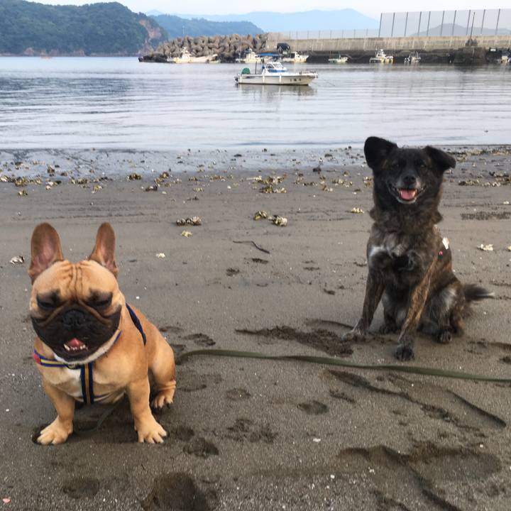 02c69251 806f 4329 95a8 a3701d992c31