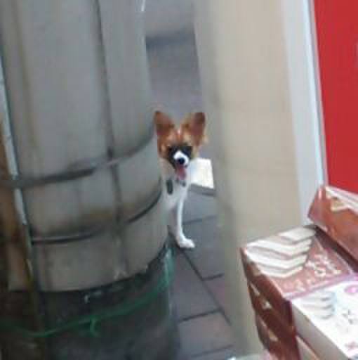 02c6fd80 6331 496f a310 d1d361e60414