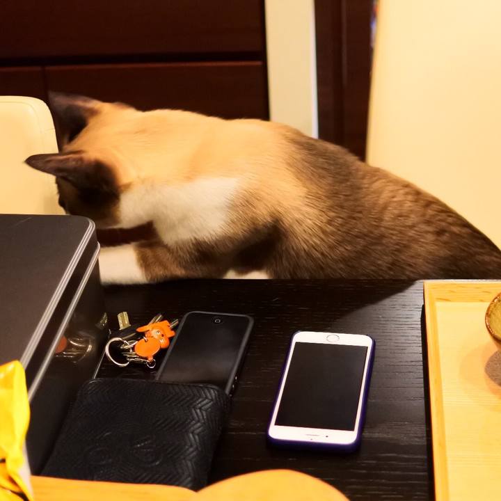 02c78240 a4be 4afb 8d3f 82e85afbf9cd