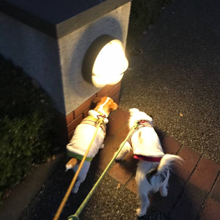 02c7e40c 036f 4395 9007 ea57399e6fd5