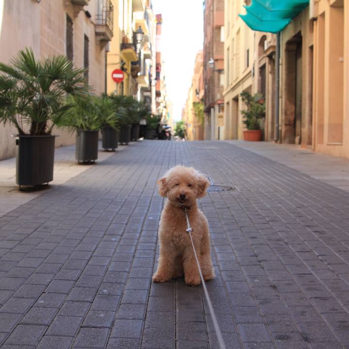 02c8062d cc6c 4b27 9ad5 4a03116aa05b