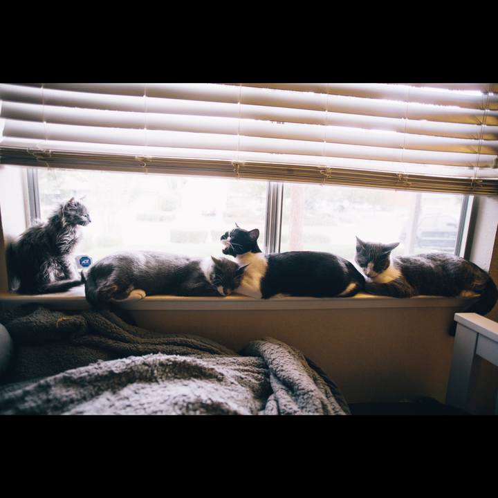 02c84c15 1667 4162 9270 ccc1f134da98