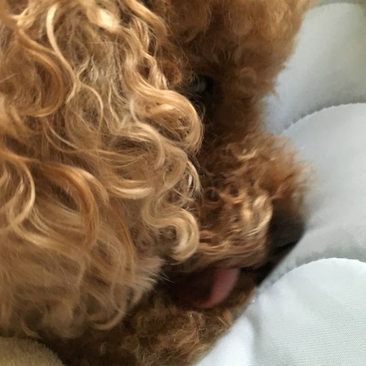 02c9cc50 797a 4261 b9d2 8f4b9dc629fa