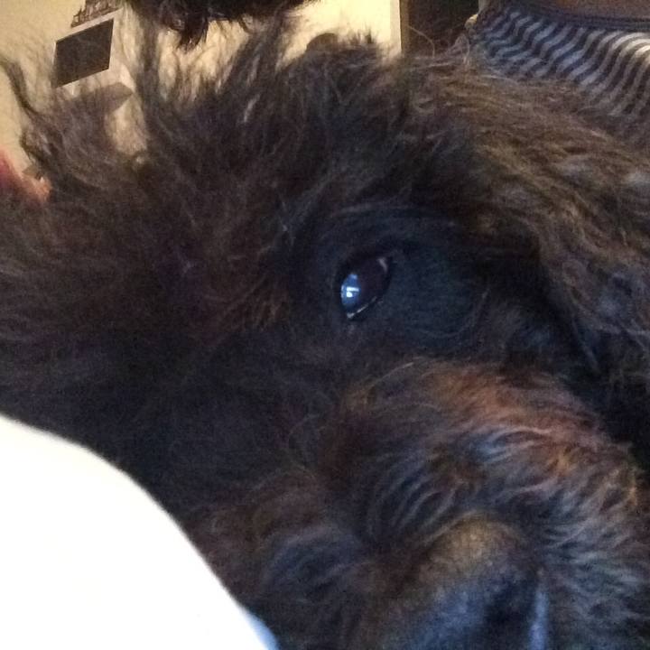 02ca0cd5 4ee1 47c2 88b0 a9bfb0a3d1b4