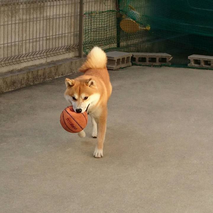 02ca97e3 9ac6 478e aecd 740ca5361501