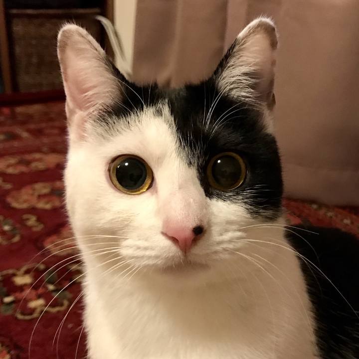 02caa8ac 6f3e 4dce a1f4 2dc1ed798a3b