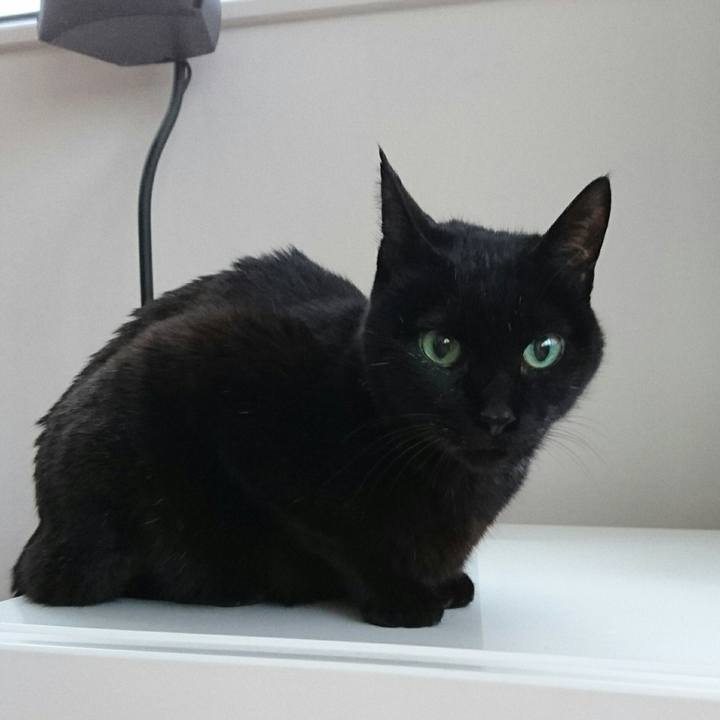 02cabb01 6c1b 44b2 86f9 1acc588e8fdd