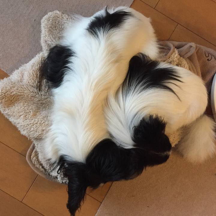 02cb07ec 04b0 4bd8 a57d 78c772982a84