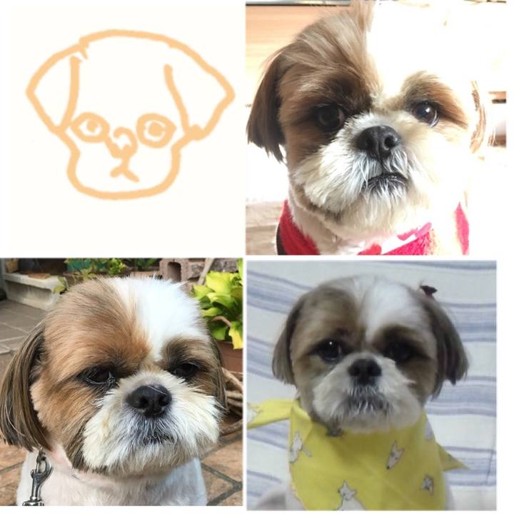 02cb4e27 8456 4f0a bae8 171eaaa101ad