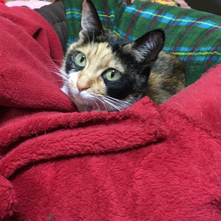 02cb4e45 484d 4f92 9495 8edbb6b2cecd