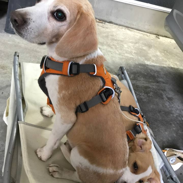 02cbbb51 89e7 4abe b436 2bfeac15e917