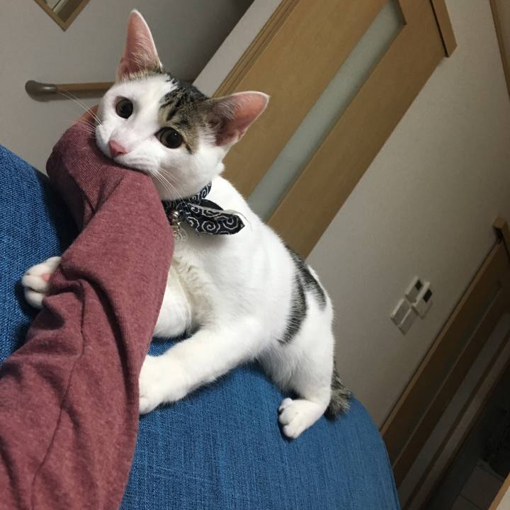 02cc0406 5ac1 4852 8df1 e7ff0ed994ae