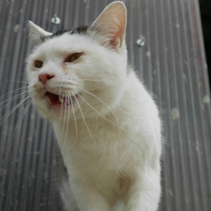 02cc5aae 0ac4 476c 8e3b 52419d8545a5