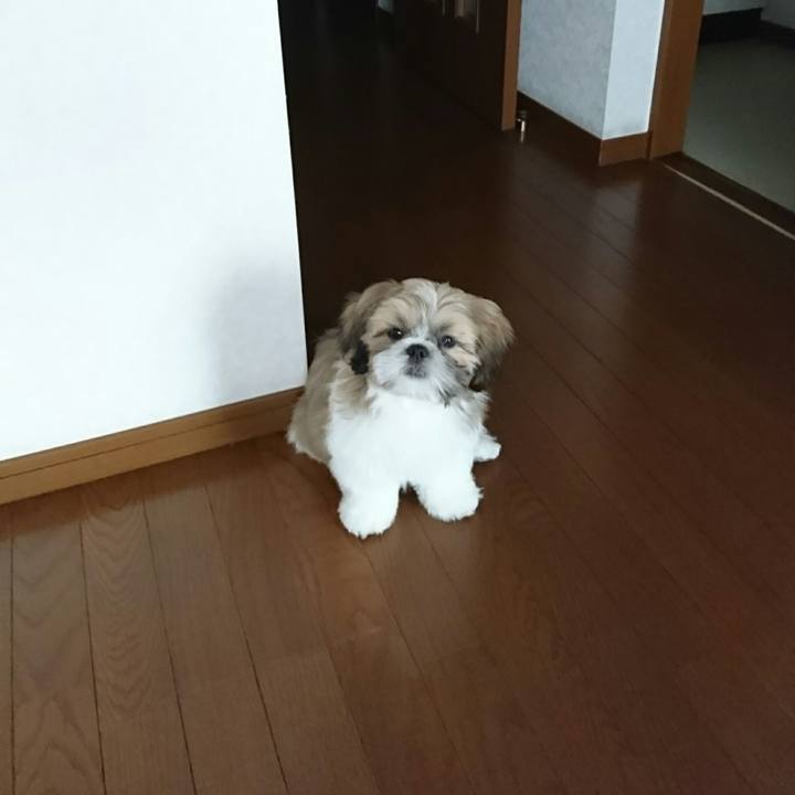 02cc6e22 7a4a 4cbc bd39 fa6016b6b1fd