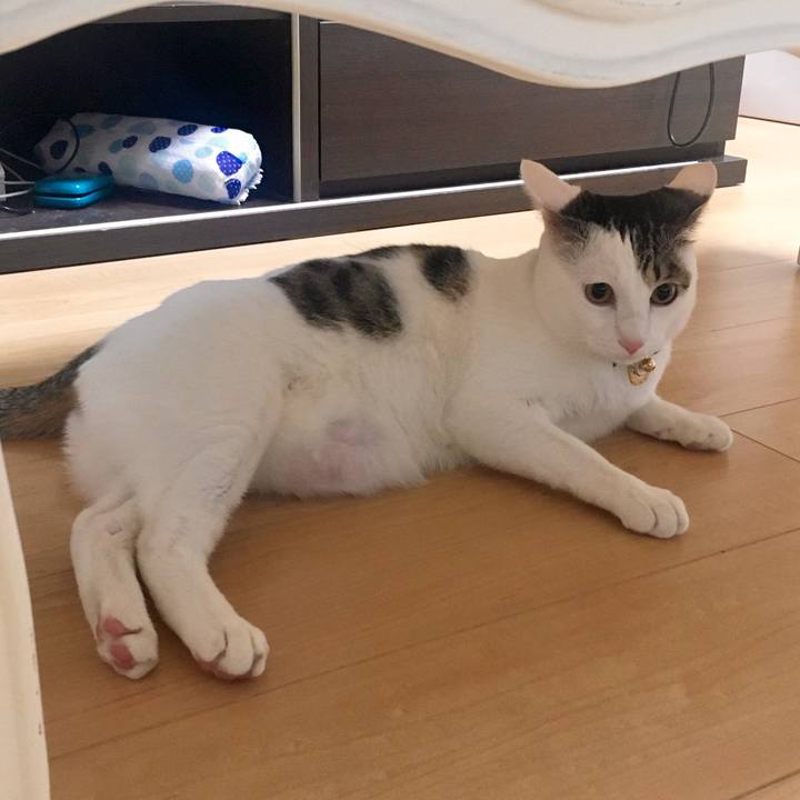 02cc6fbe 0781 4c1c bc60 95089b6a583b