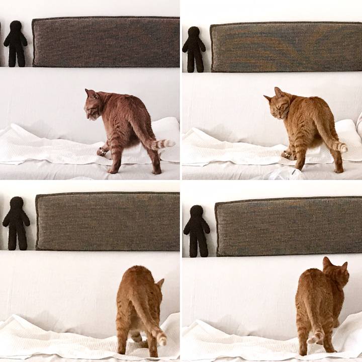 02ccf144 4bd4 45a4 943b 428c45743d1a