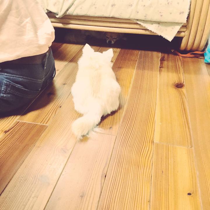 02ccfad1 a2f9 42da af9b 780df50b6754