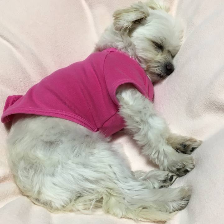 02ce65a2 a4da 4e16 ba1d 5d62487e728f