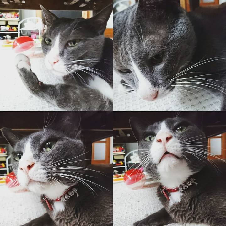 02ce6cce f87e 490e 8630 743461300139