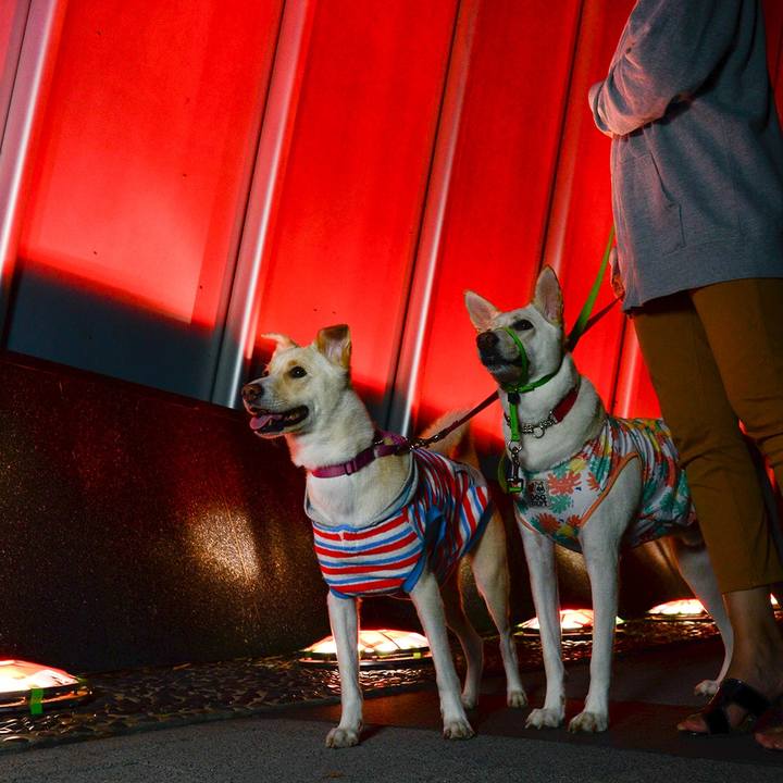 02cea797 68d0 472f b065 ea20651f8c9f