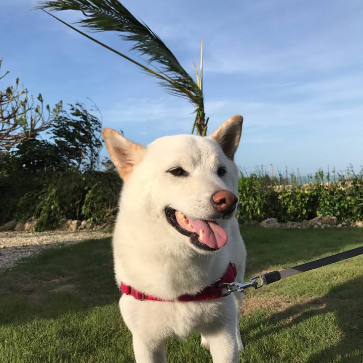 02cefccc d7a2 4c24 a0ca 40c3e7b01caa