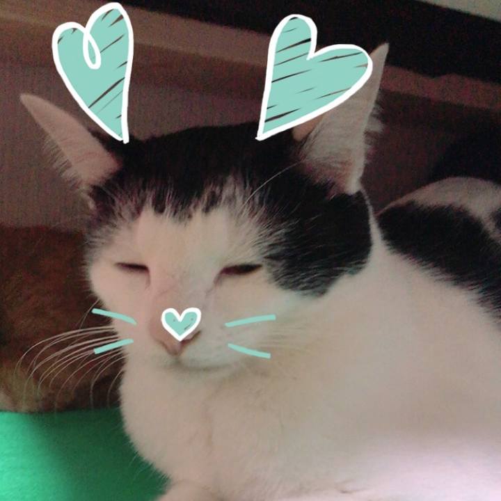 02cf8132 9db1 43fd a445 afb48dafbde4