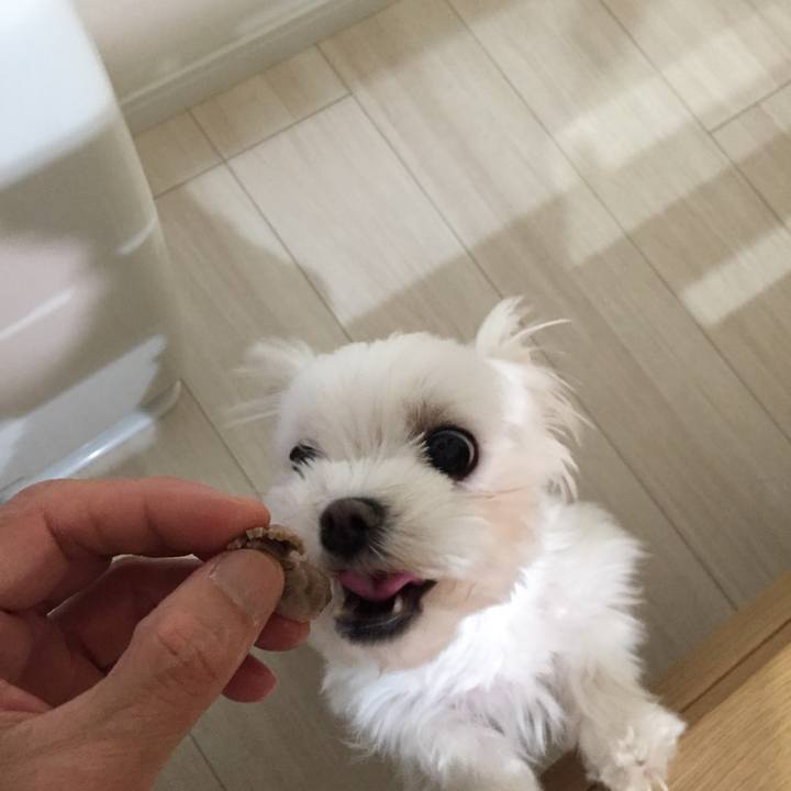 02cf8c9b 77a1 41f9 a936 642498ba5e97