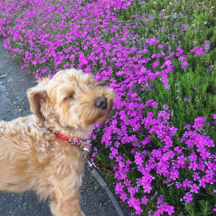 02cf8d86 123f 4efe 8cda fa965e7ad1fb