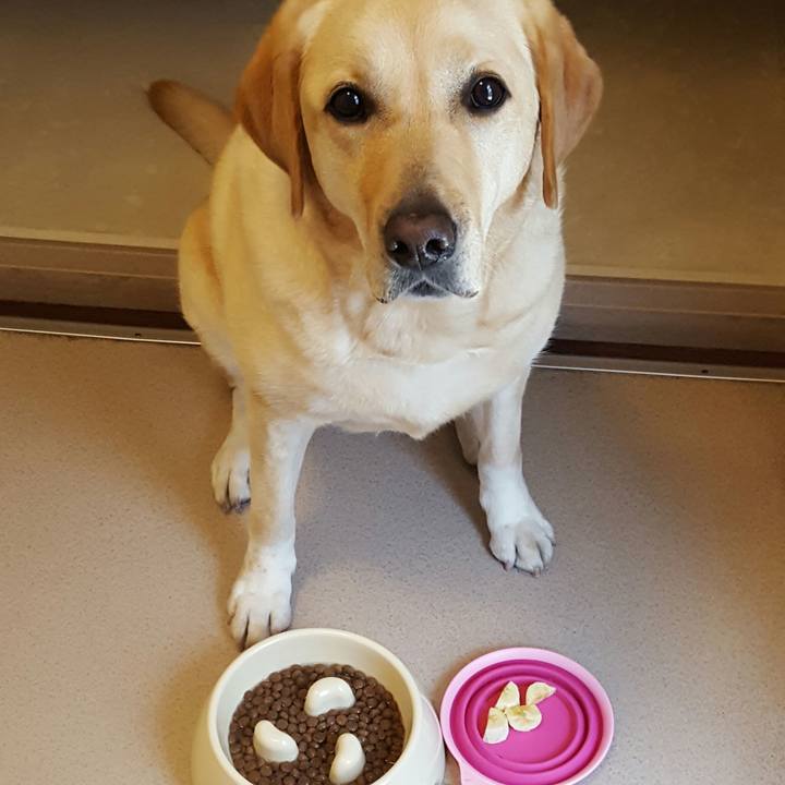 02cfb24c 8e5c 414b b0aa 210969fb90ae