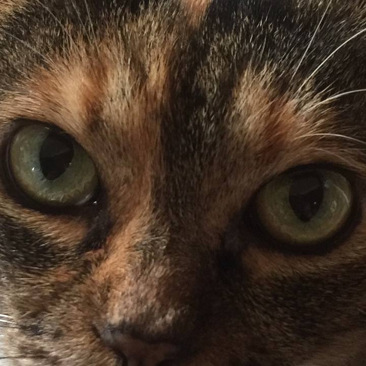 02d1376c e262 4fc5 9cdd 031165a5db9d