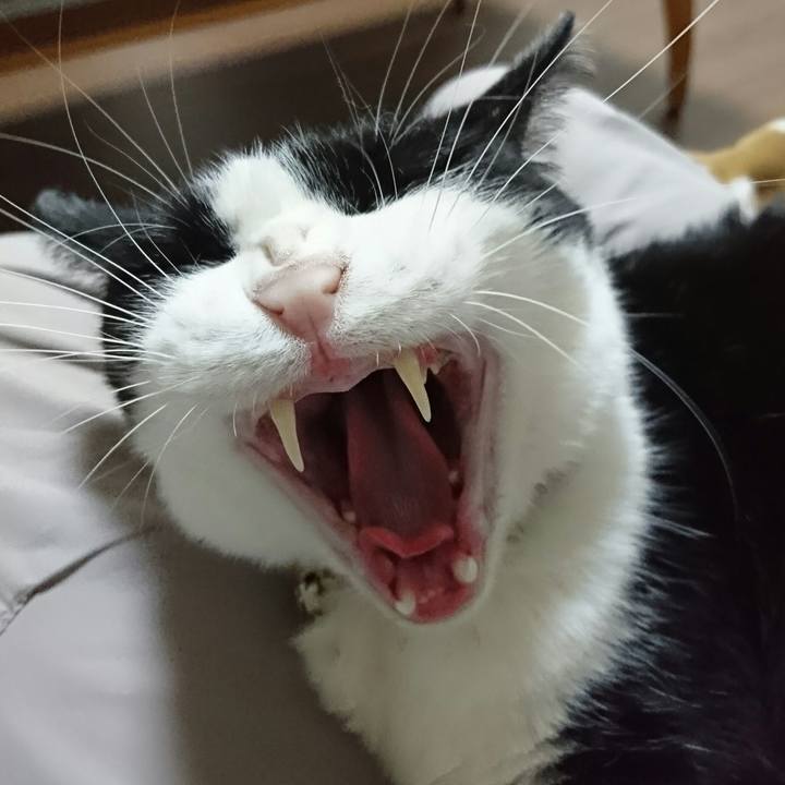 02d155b8 b29b 4d04 90f6 5da166cbf48c