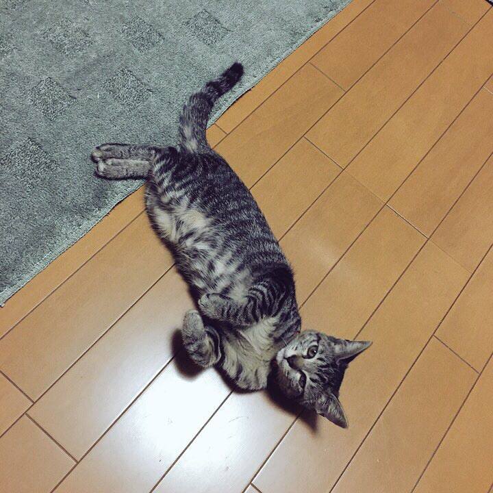 02d16d63 787c 49f3 8c8e 012af544fc30