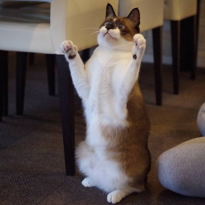 02d18014 1fc3 496e 81c7 df20a9100a5f